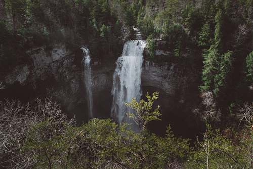 nature falls surrounded by trees on mountain during daytime river