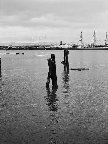 black-and-white grayscale photo of ships on body of water waterfront
