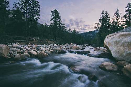 creek river during daytime timelapse photography stream