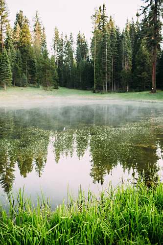 outdoors selective focus photography of lake pond