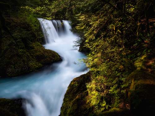 river time lapse photography of river on forest waterfall