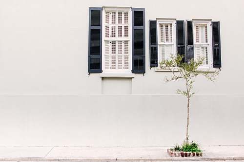 shutter photo of three glass windows with white wooden frames plant