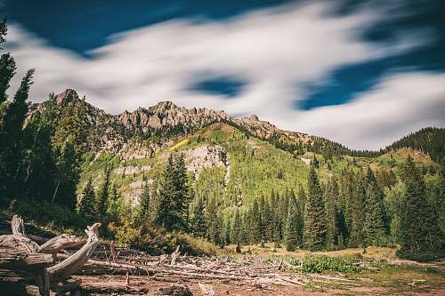 tree landscape photography of green mountain under clear sky crater lake