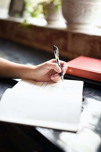 journal  diary
