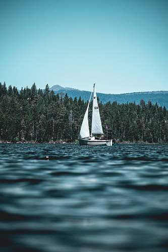 sailboat white and black sailboat on body of water near green high trees and mountain under blue sky at daytime boat