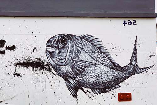 fish black and white graffiti of a fish on a white wall art