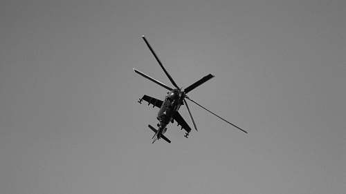 bird grayscale photography of flying helicopter black-and-white