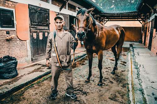 mammal man standing beside horse horse