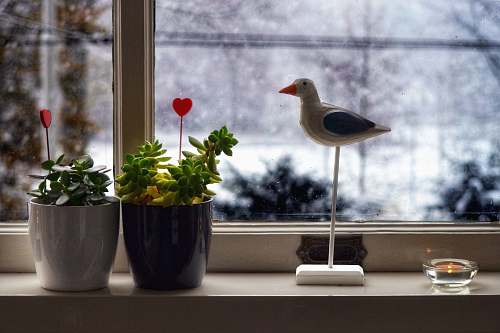 bird white and brown bird ornament beside two plants plant