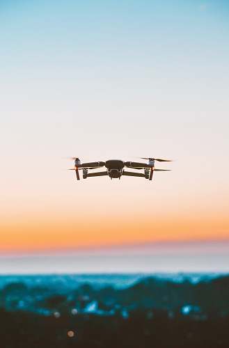 bird white camera drone during daytime flying