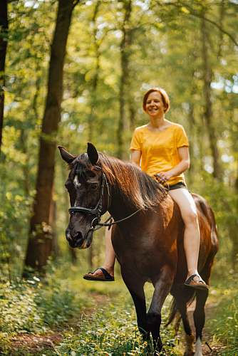 mammal woman riding horse horse