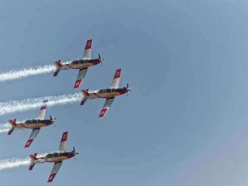 animal time lapse photography of an air show flying