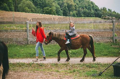 animal girl riding brown horse horse