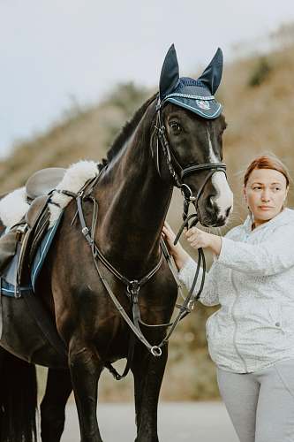 person woman wearing white jacket beside black horse human