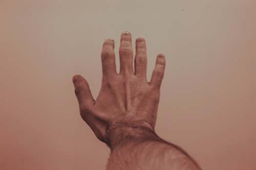  person's left hand 