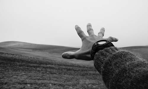 grey  wristwatch