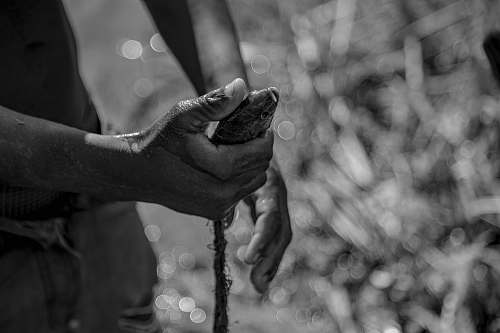 grey grayscale photography of snake finger