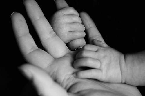 baby photo of baby holding person's fingers grey