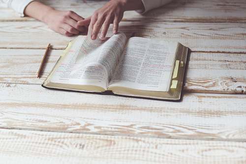 bible person reading book study