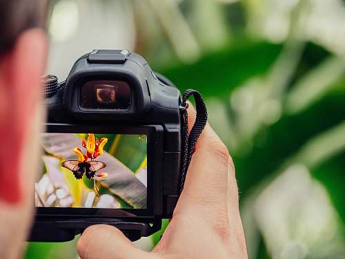 camera black digital camera capturing yellow flower photography