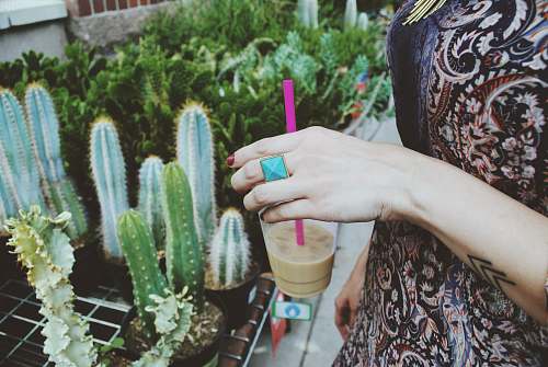 plant person holding disposable cup in front of cactus plants flora