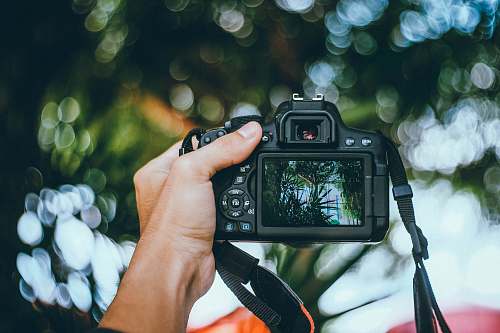 holding person holding black DSLR camera hand