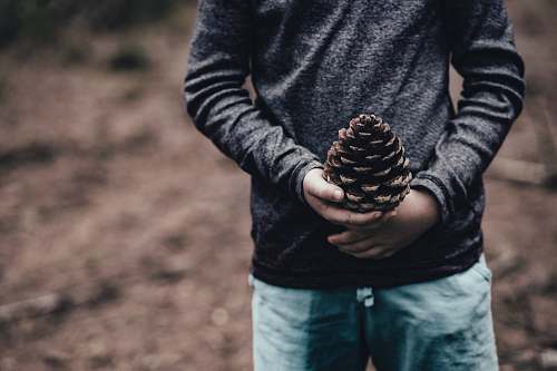 apparel person holding pine cone human