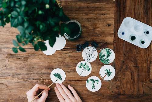 creativity green leafed plant table