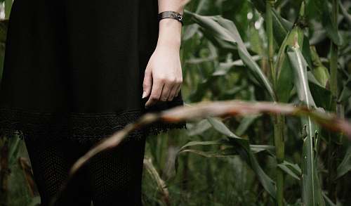 woman person standing near green plants hand