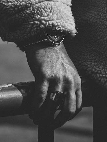 black-and-white grayscale photography of hand with watch grey