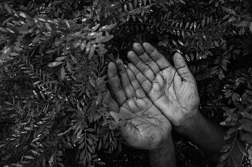 grey greyscale photo of hand black-and-white