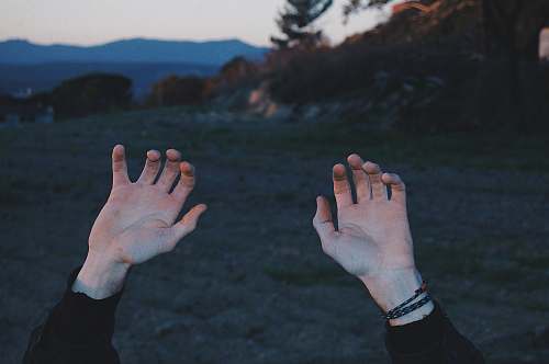 human person raising hands above during golden hour person