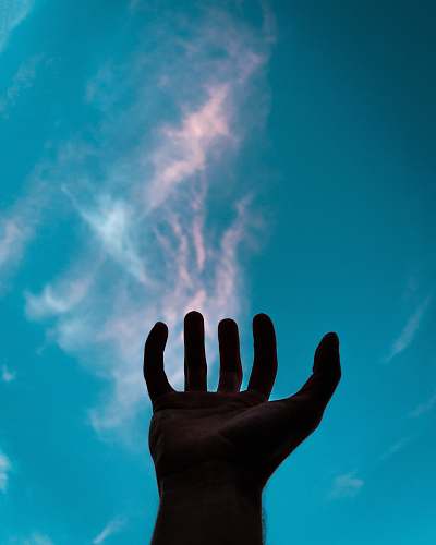 human person raising their left hand person