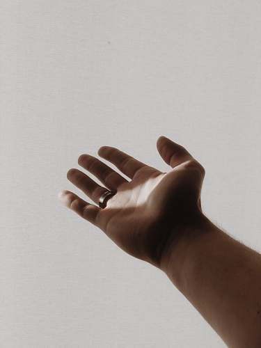 human person's left hand person