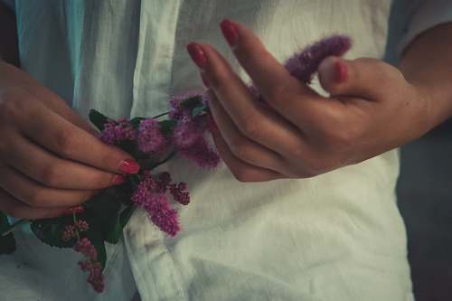 person purple petaled flower close-up photography human