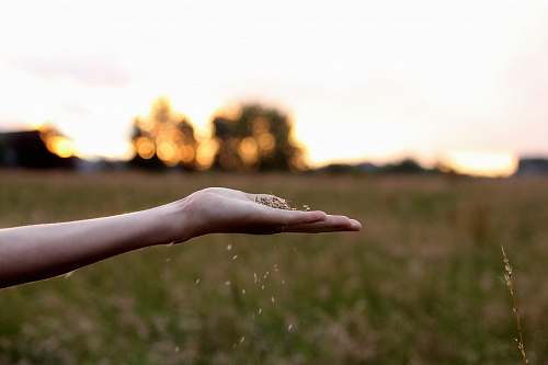 person selective focus photography of right human hand human
