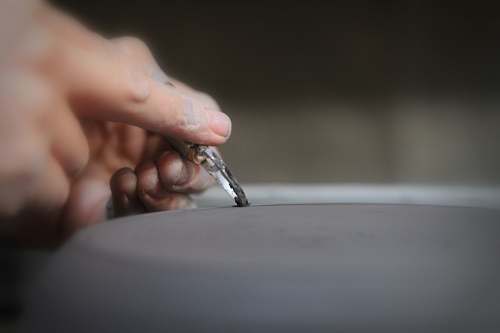 human shallow focus photo of person's hands person