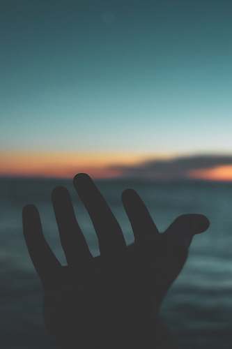 outdoors silhouette photography of left human hand nature