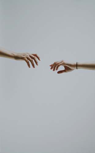 Hold Hand Images Pictures And Free Stock Photos