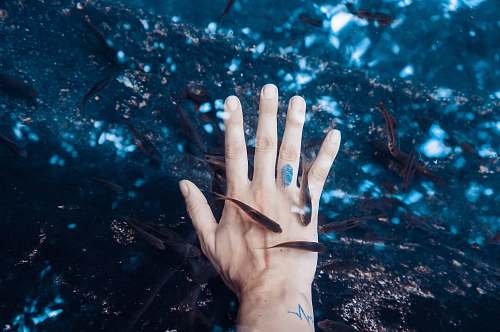 water left human hand surrounded black pet fish hand