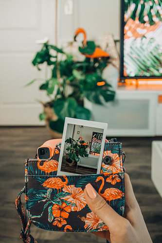pottery person taking photo of green leafed plant vase