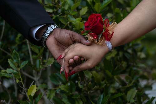 person photo of man and woman holding hands wristwatch