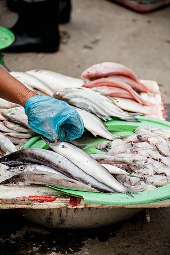 vietnam person wearing blue cellophane about to pick fish on table market