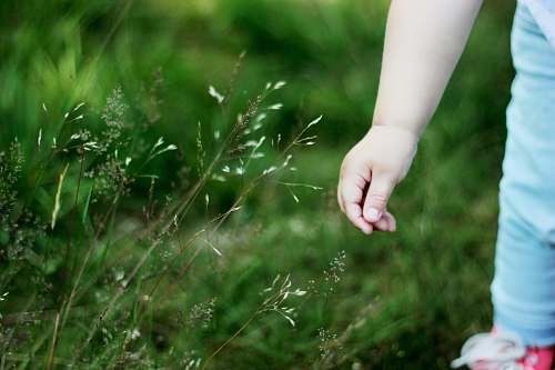 plant selective focus photography of toddler standing on green grass field person