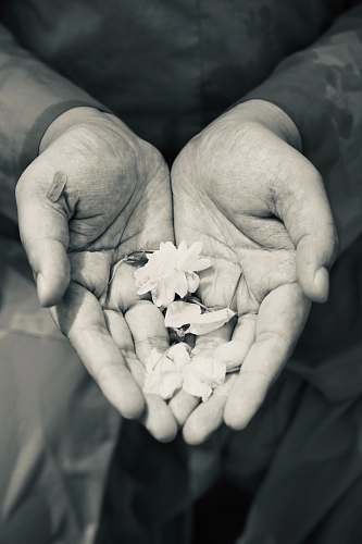 finger human hands with flowers grey