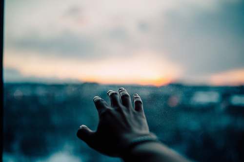 sunset human left hand bokeh