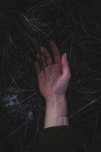 grey left human palm wrist
