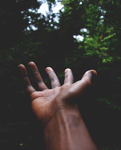 finger man standing facing green trees reach