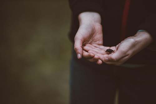 holding person carrying a black bettle caucasian