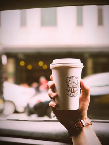 cup person holding disposable cup coffee cup